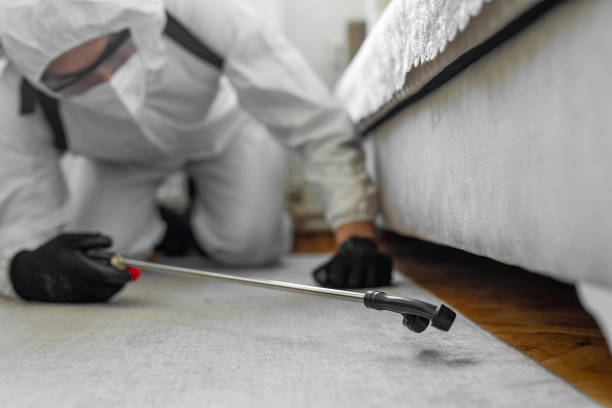 Professional Pest Control technician working in Montana, MT